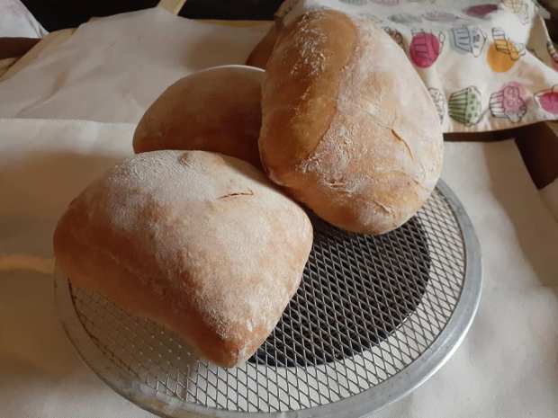 91002928_10157511957928220_1828481716663091200_n